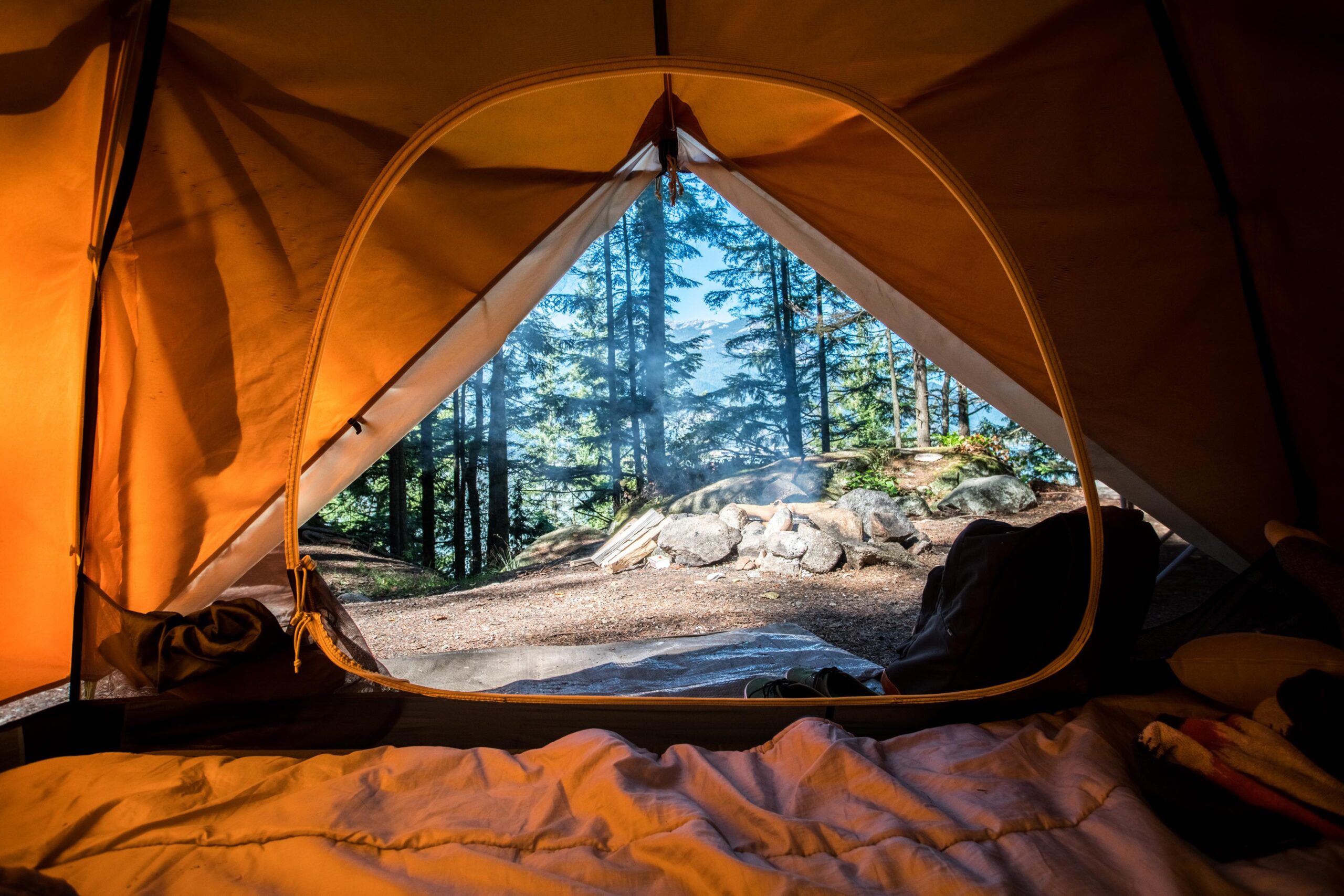 Unsplash by Scott Goodwill