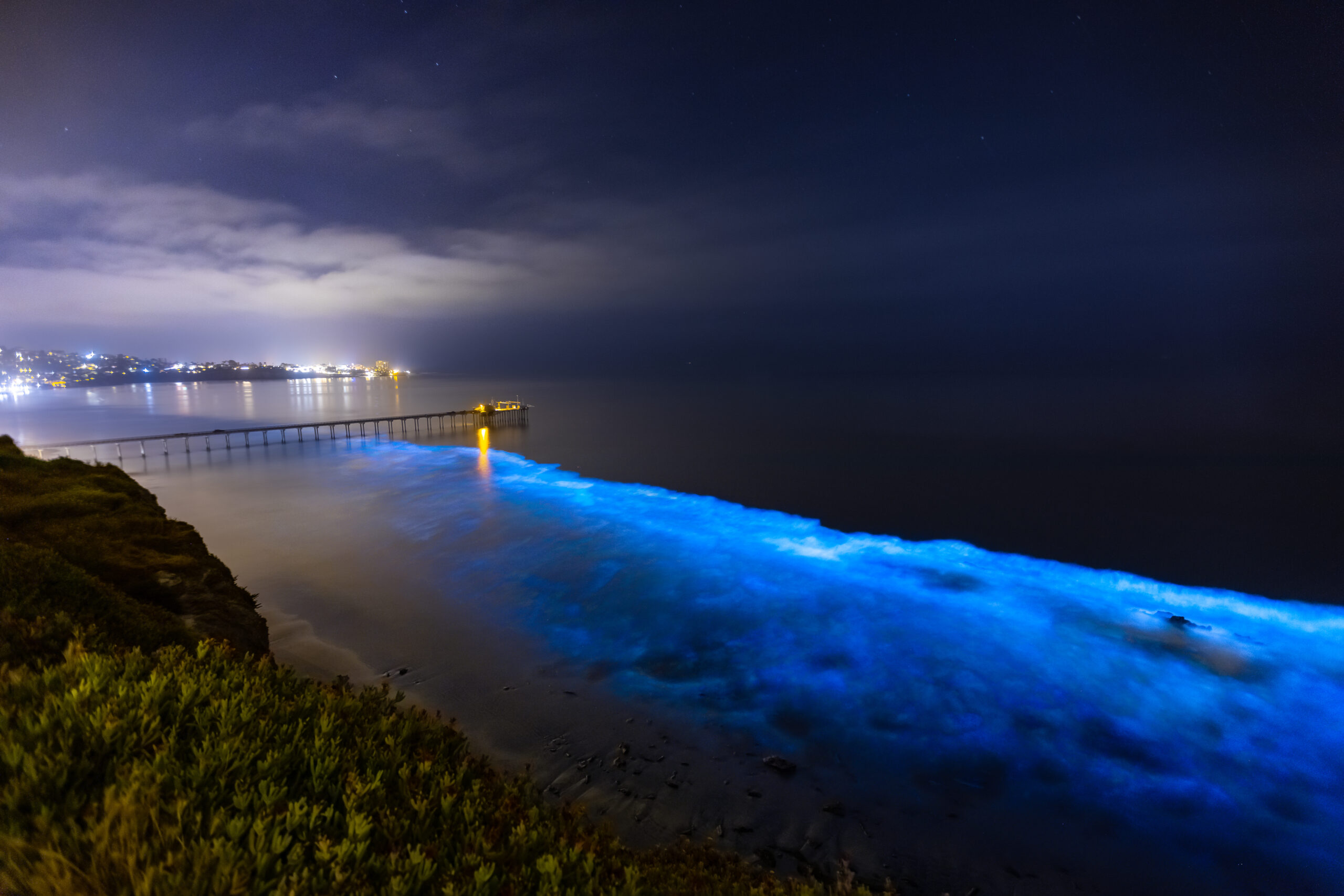Shutterstock by Richard Art Gallery