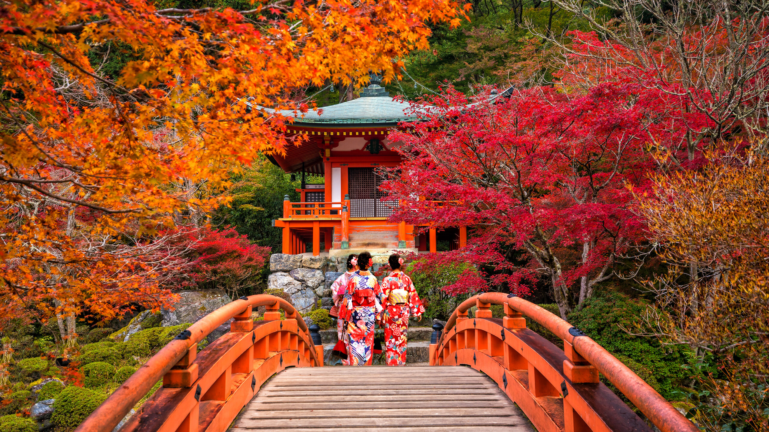 shutterstock_f11 photo