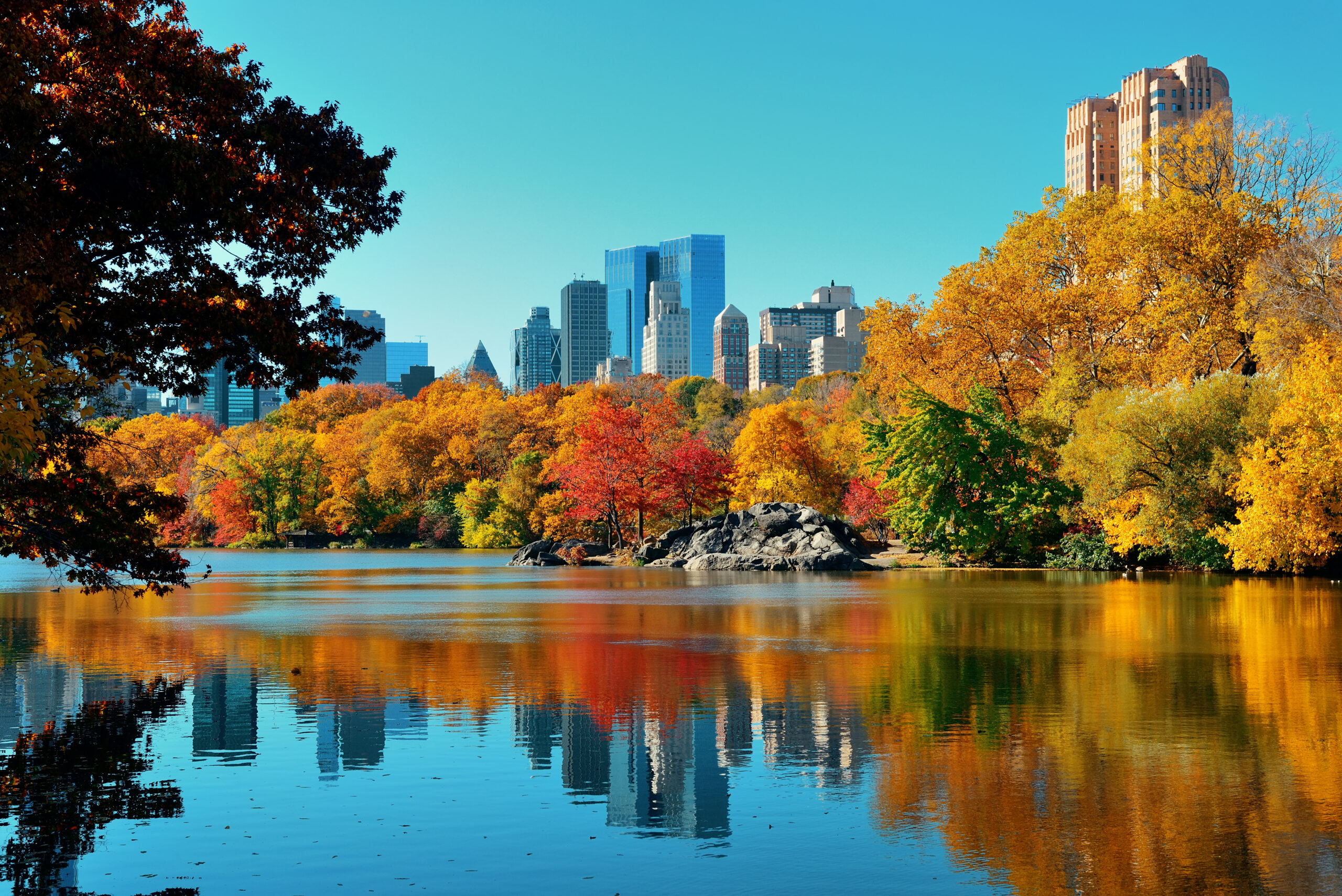 shutterstock_Songquan Deng