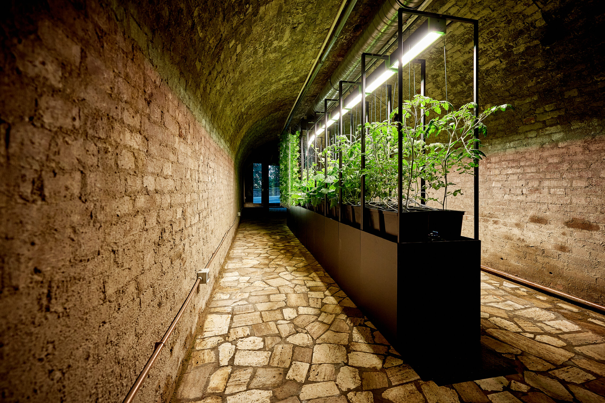 Courtesy of Vertical Farm Italia