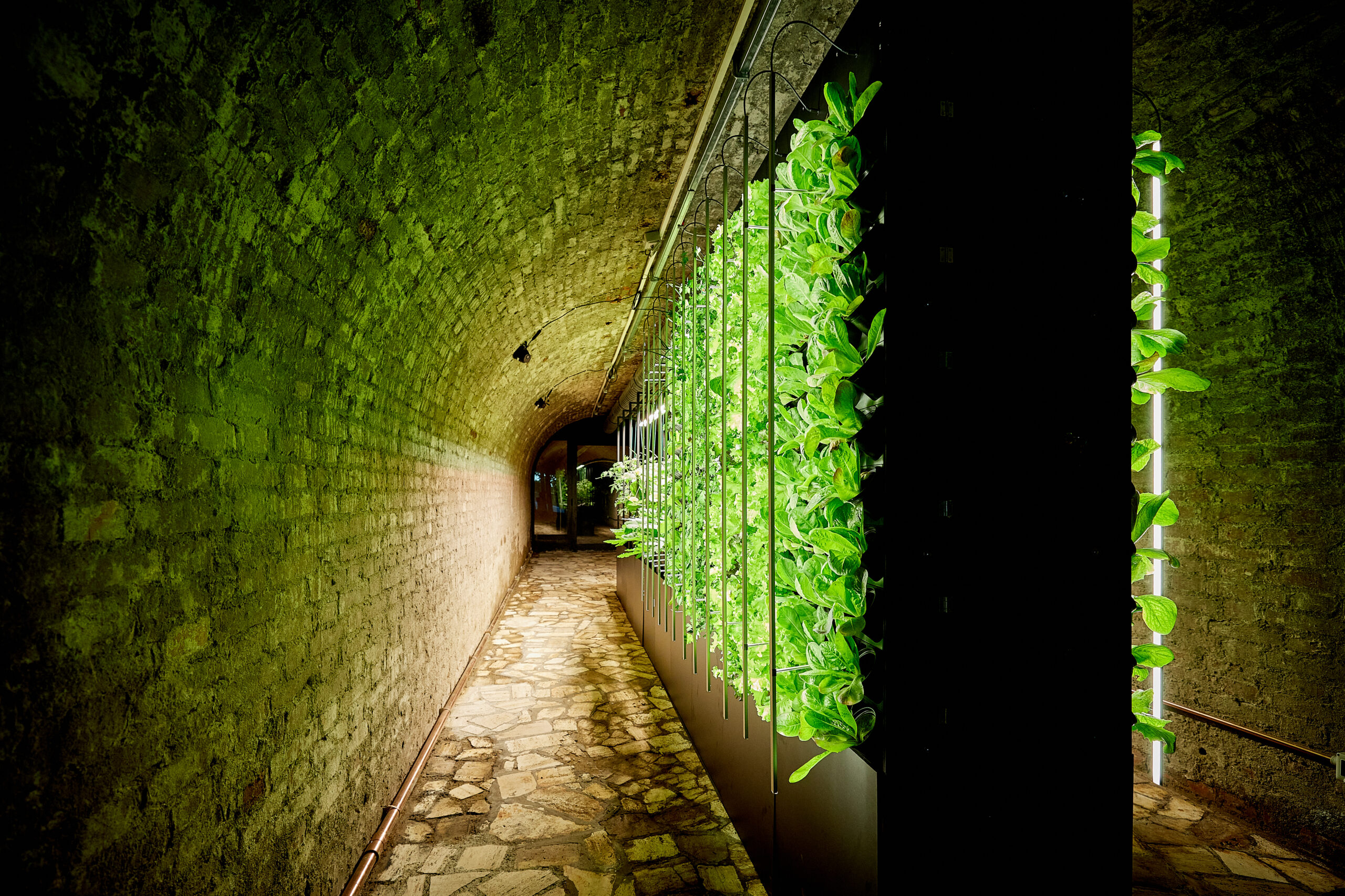 Courtesy of Vertical Farm Italia
