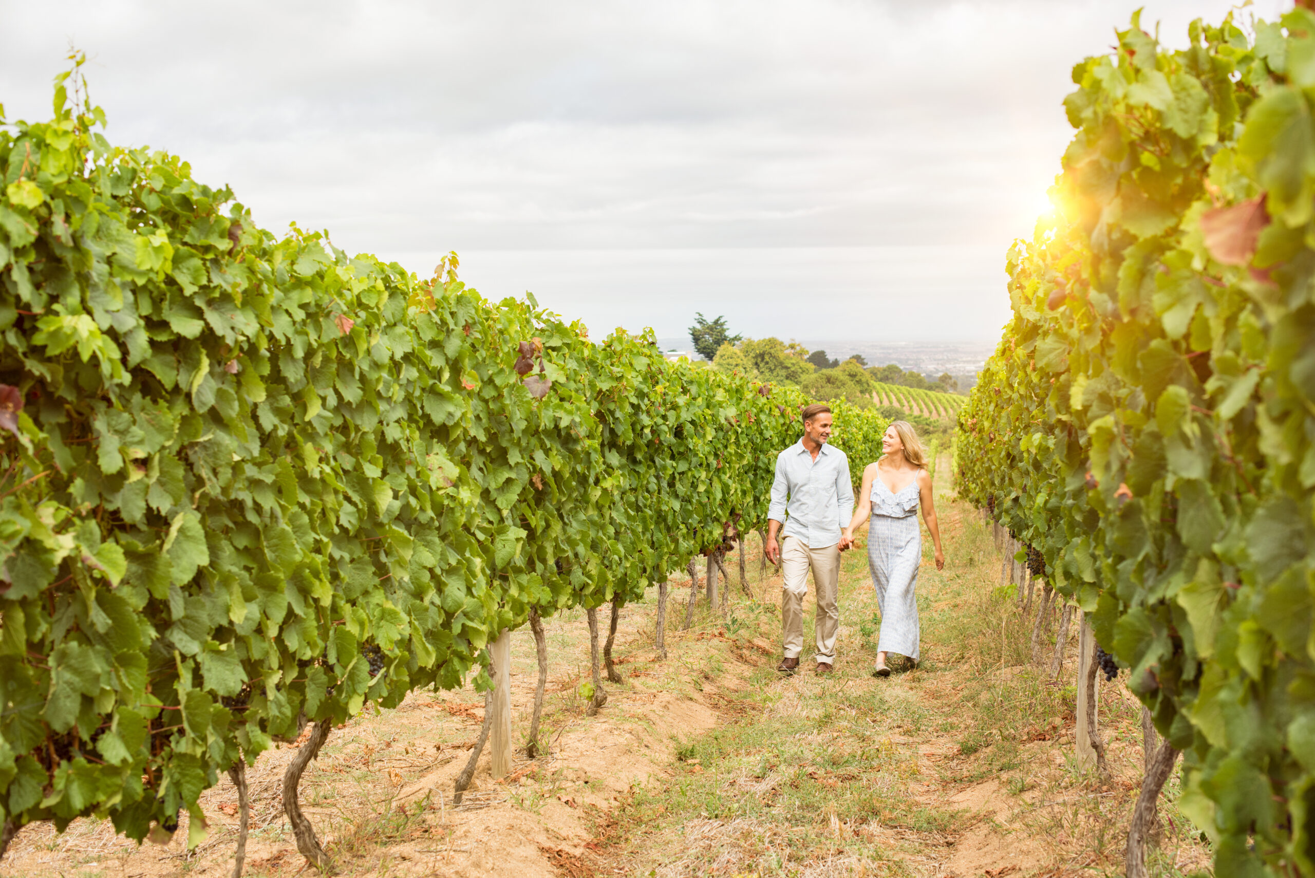 Italia romantica. Giro del Chianti. Shutterstock by Ground-Picture 