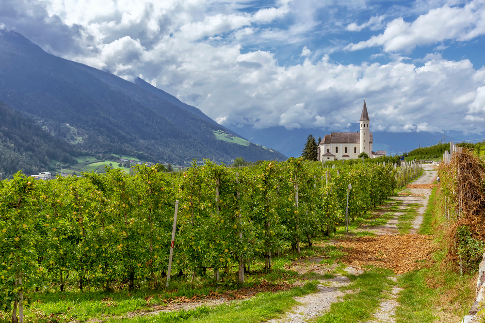 Val Venosta, Shutterstock - Photo by Marco Taliani de Marchio