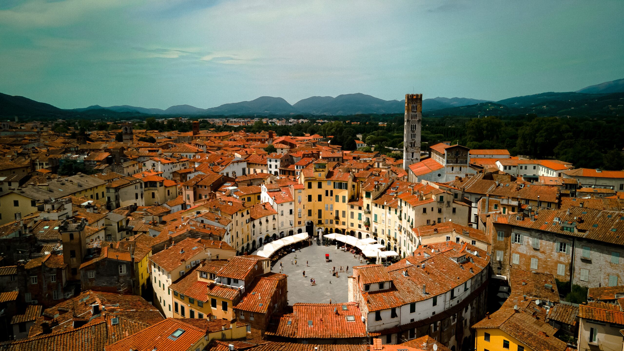 Shutterstock - Photo by Flysome