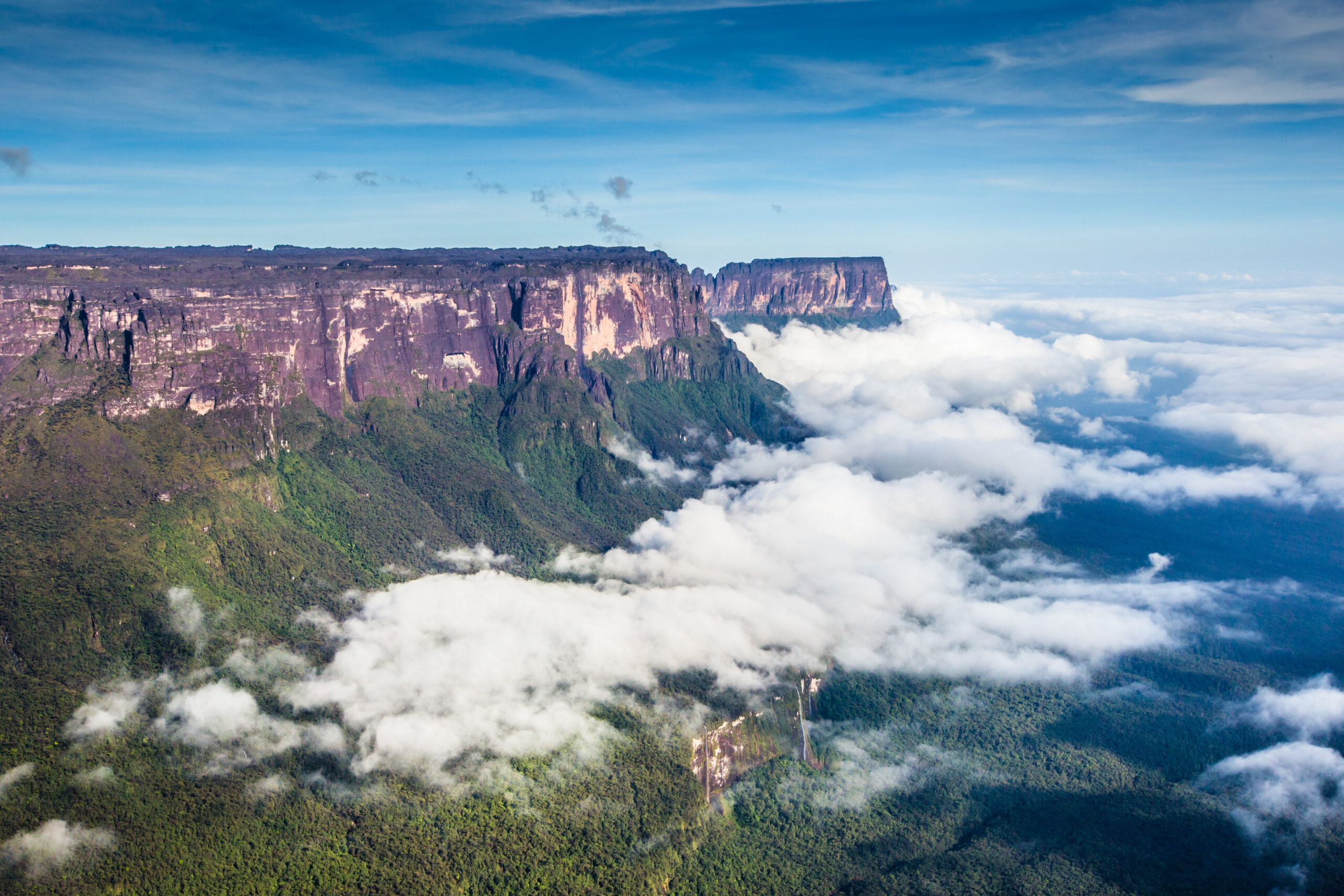 Tenui Roraima. Shutterstock by Curioso. Photography