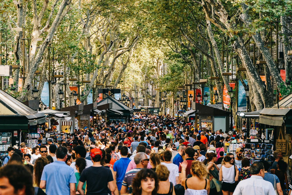 Shutterstock_by_Radu Bercan