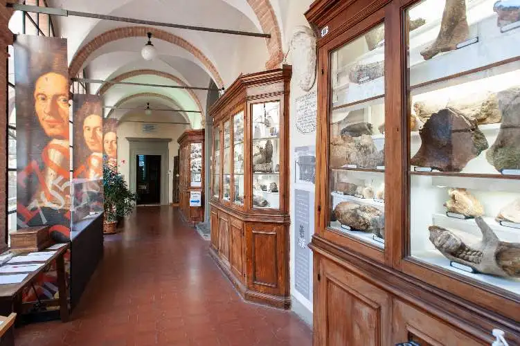 Siena - Accademie