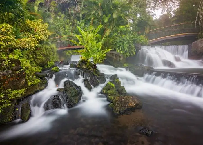 Arenal