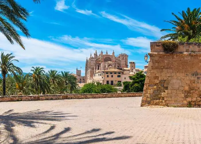 Palma