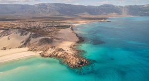 Socotra: l’isola aliena dello Yemen che non sembra terrestre