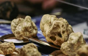 Sagre Piemonte novembre 2025, gli appuntamenti in programma