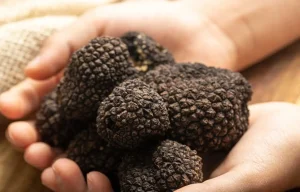 Sagre Piemonte marzo 2026, gli eventi in programma
