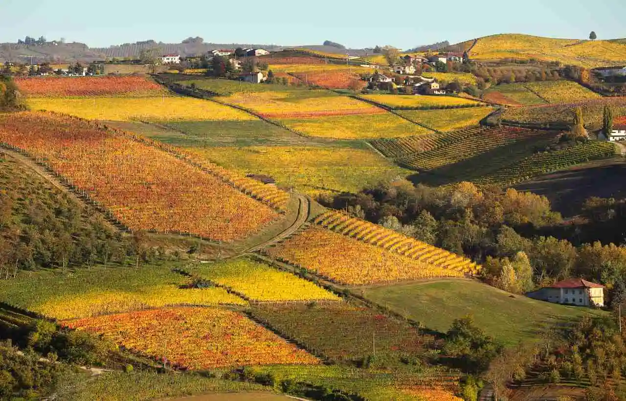Langhe in Piemonte, luogo ideale per andare in vacanza in Piemonte
