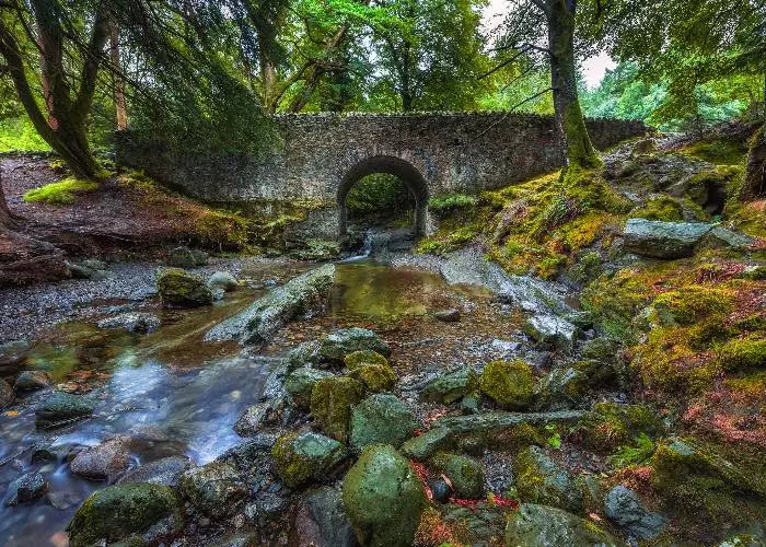 Tollymore Forest