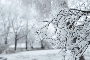 Freddo siberiano in arrivo a fine gennaio: l’Europa verso una storica ondata di gelo siberiano