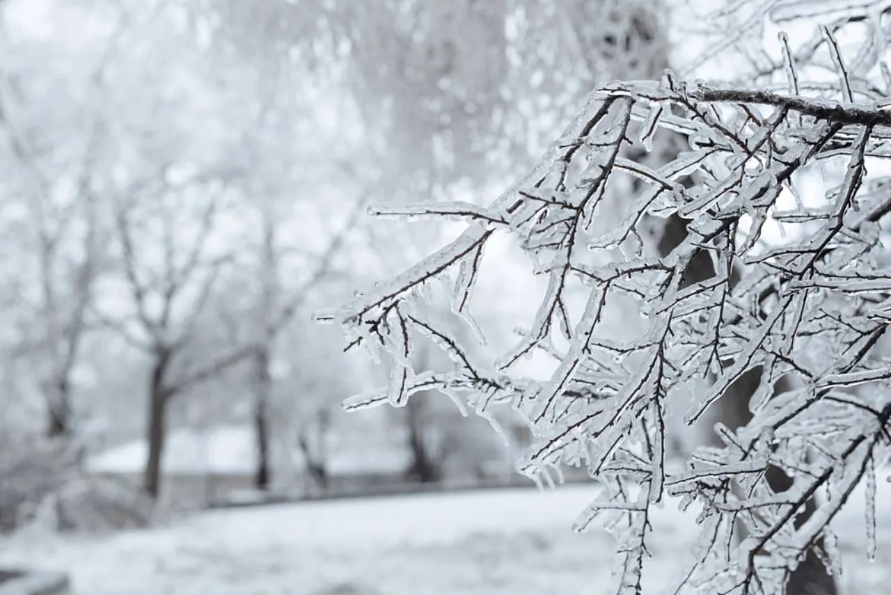 freddo polare in arrivo - meteo 2026