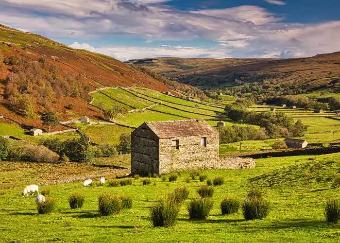 Swaledale 