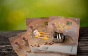 Bonus Bollette 2026, requisiti e come richiederlo