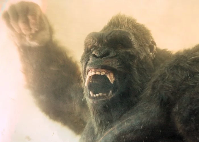King Kong in Monarch