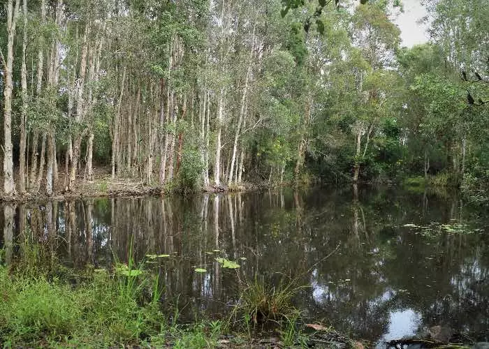 palude in Australia