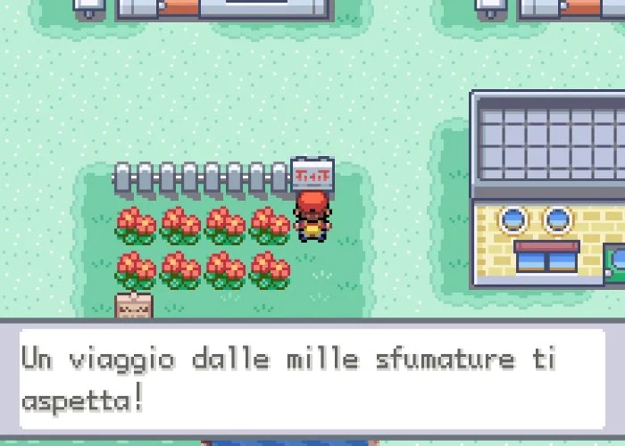 Nintendo pokemon