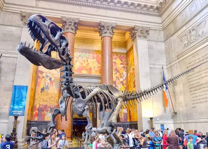T-rex New York